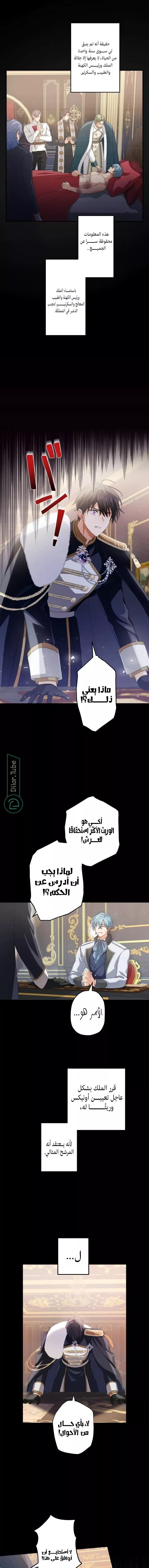 الصفحة 5