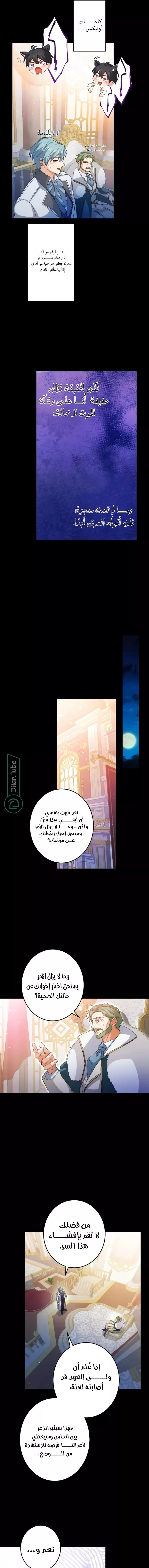 الصفحة 7