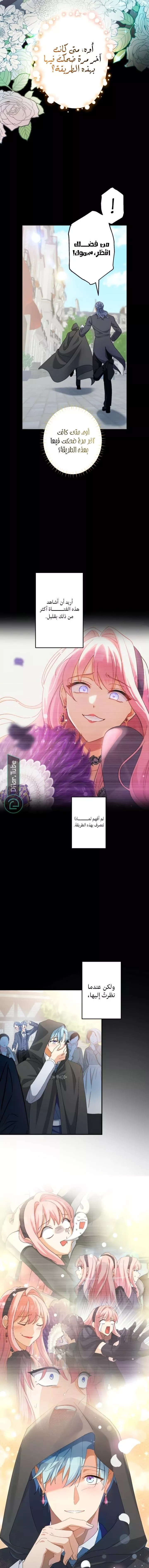 الصفحة 14