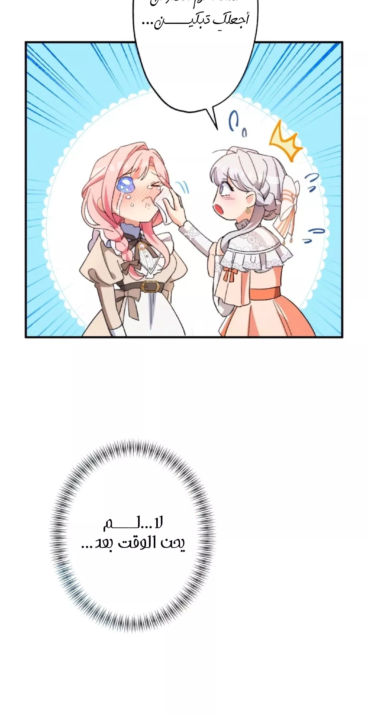 الصفحة 49