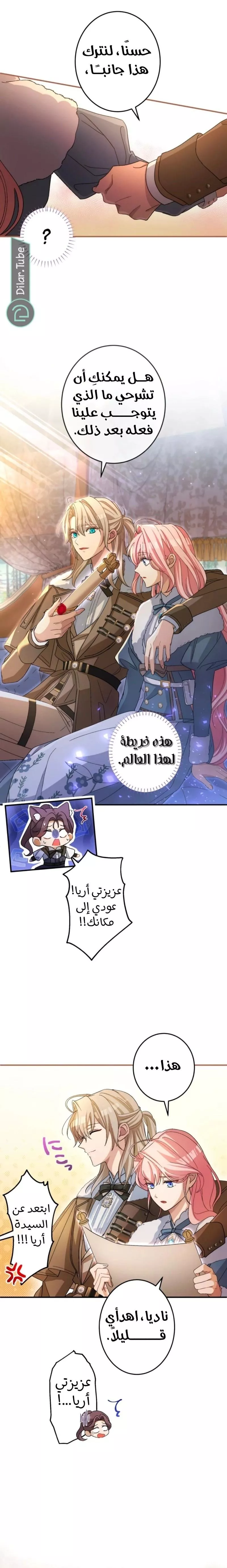 الصفحة 13