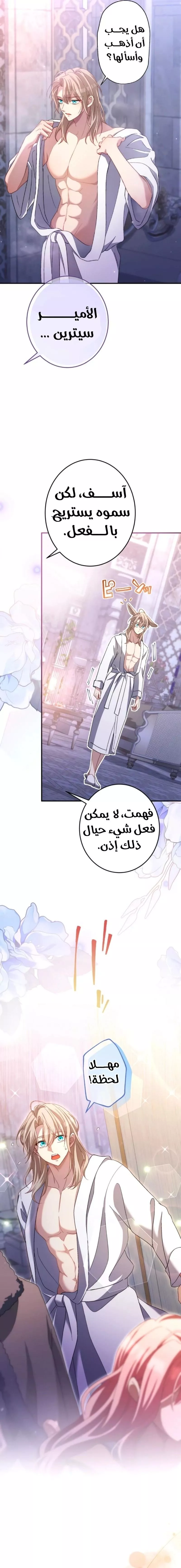 الصفحة 19