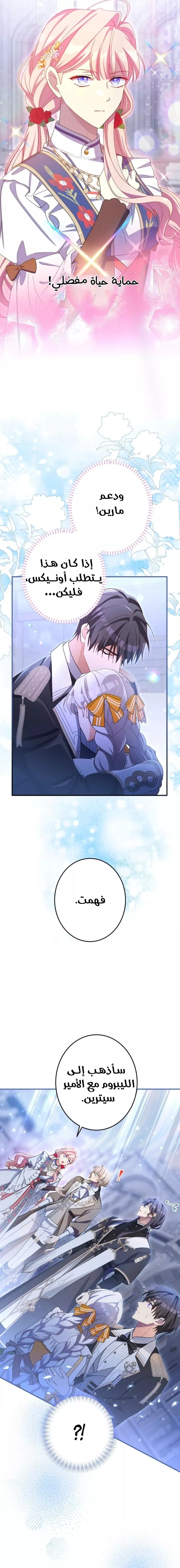 الصفحة 13