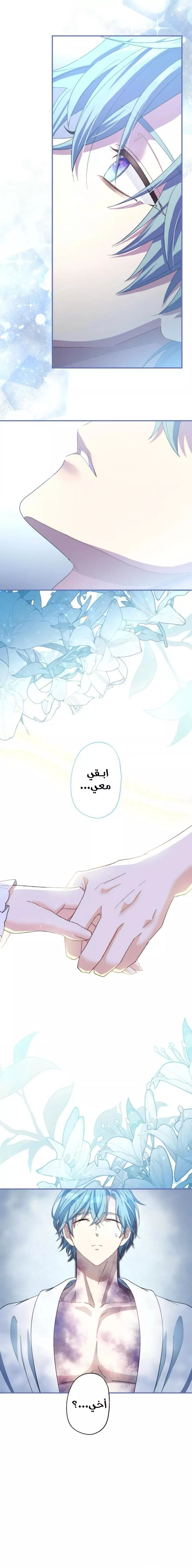 الصفحة 19
