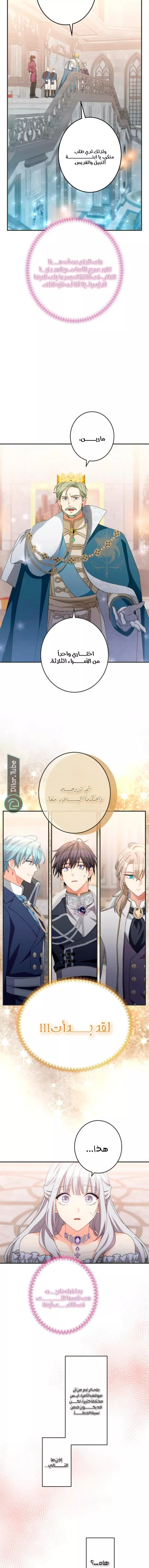 الصفحة 13