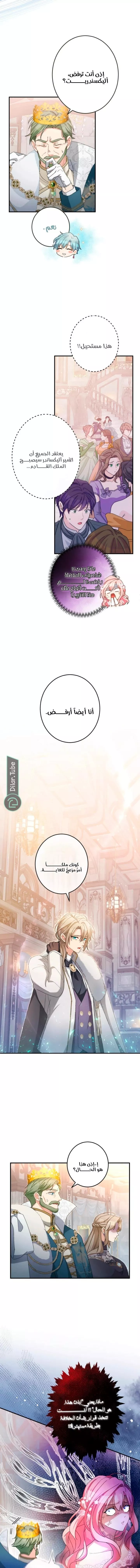 الصفحة 15