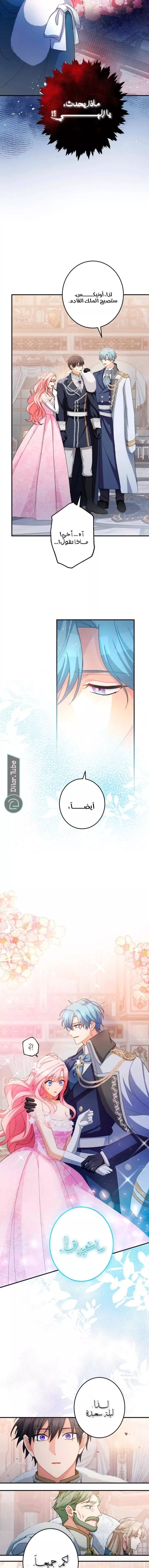 الصفحة 16