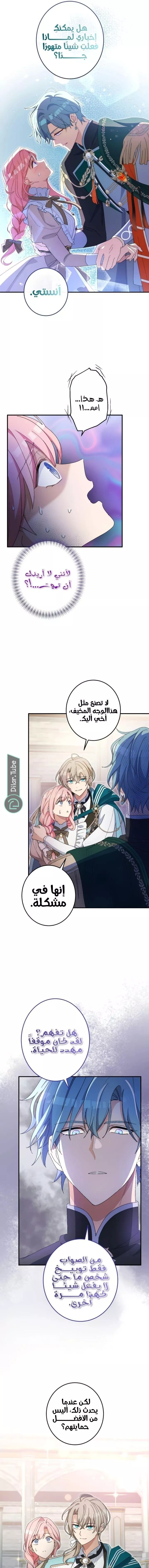 الصفحة 13