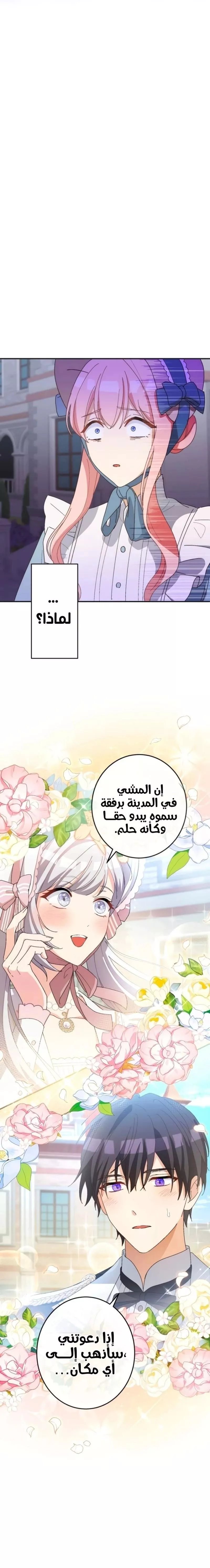 الصفحة 17