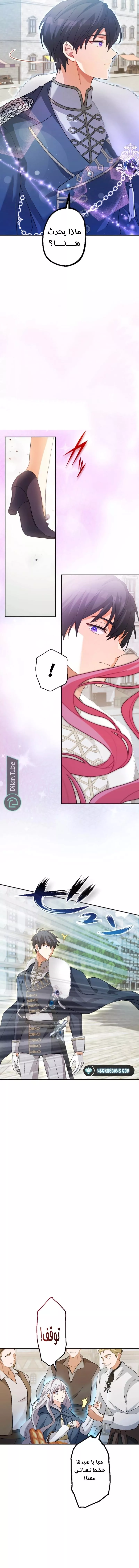 الصفحة 8
