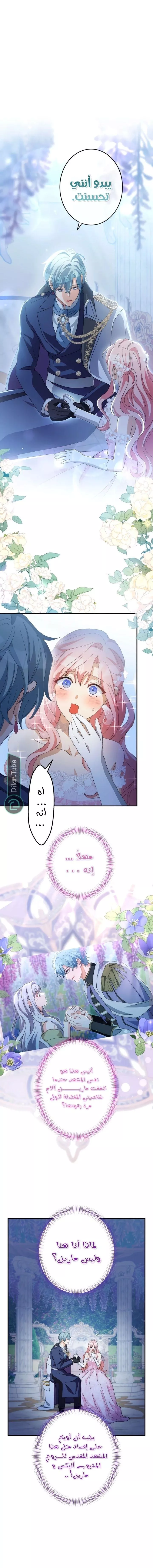 الصفحة 7