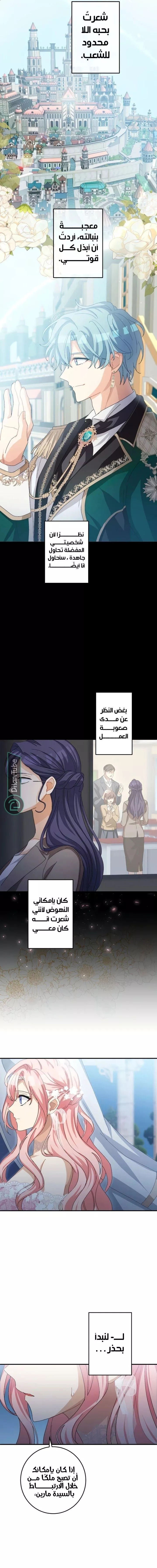 الصفحة 13