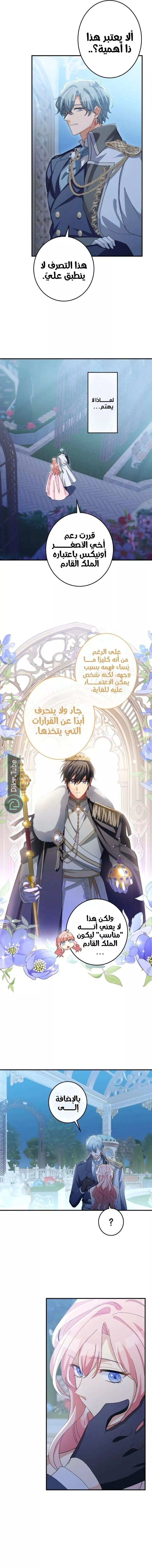 الصفحة 14