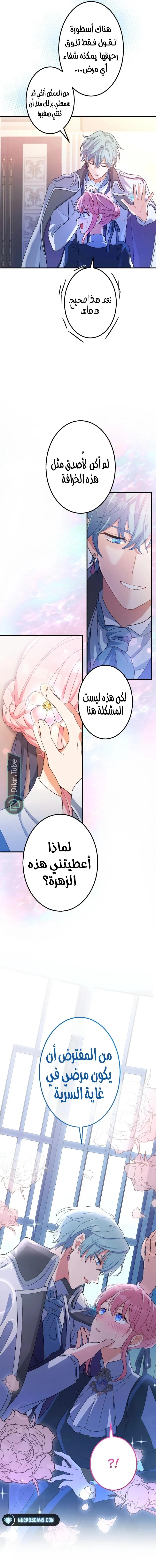 الصفحة 3