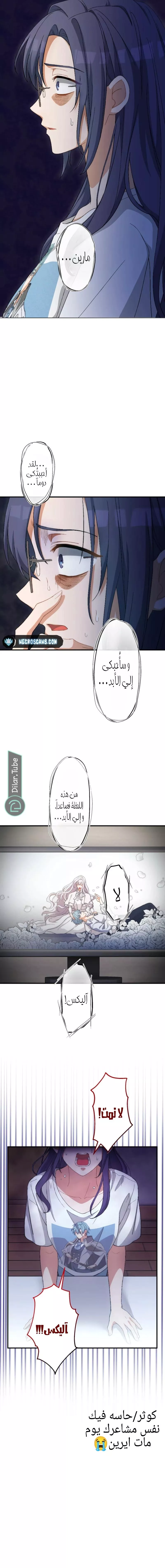 الصفحة 20