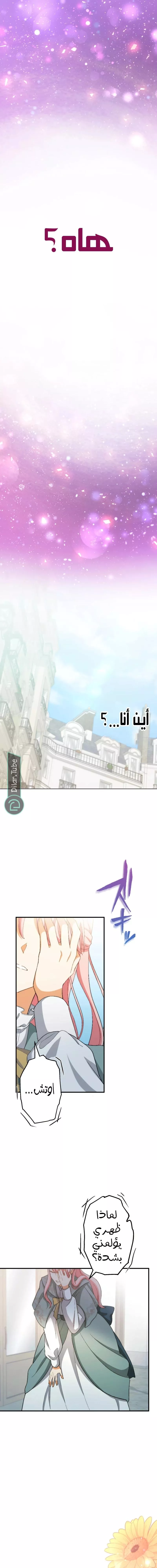 الصفحة 23