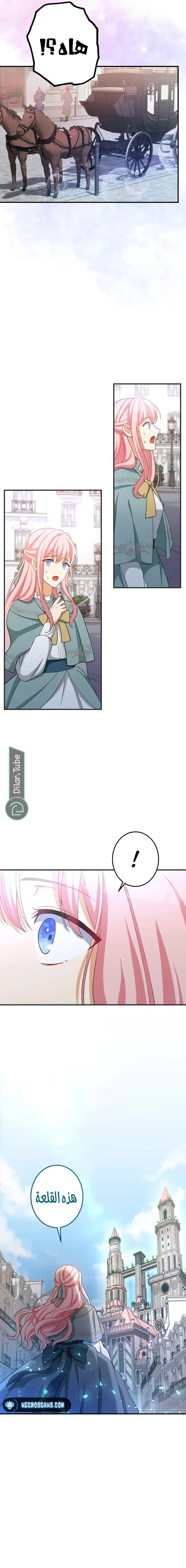 الصفحة 25