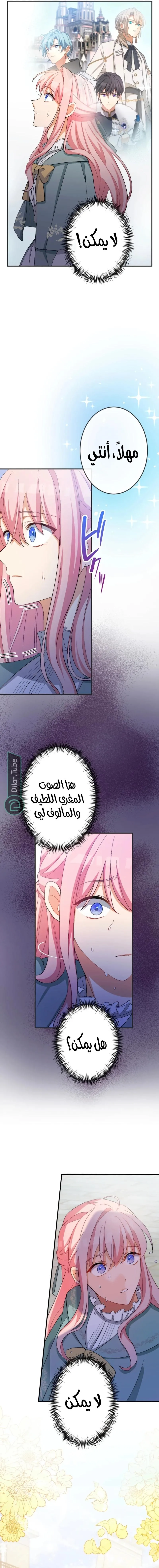 الصفحة 26