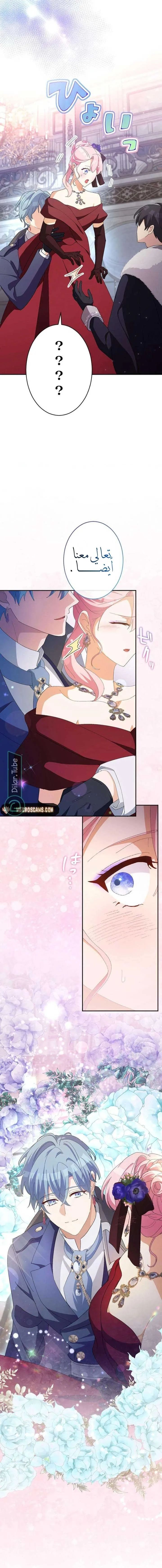 الصفحة 6