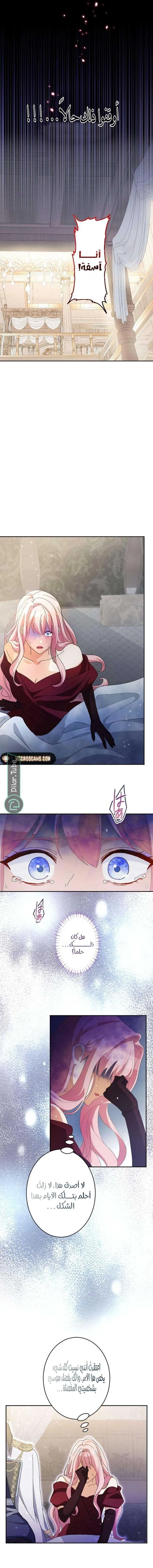 الصفحة 10