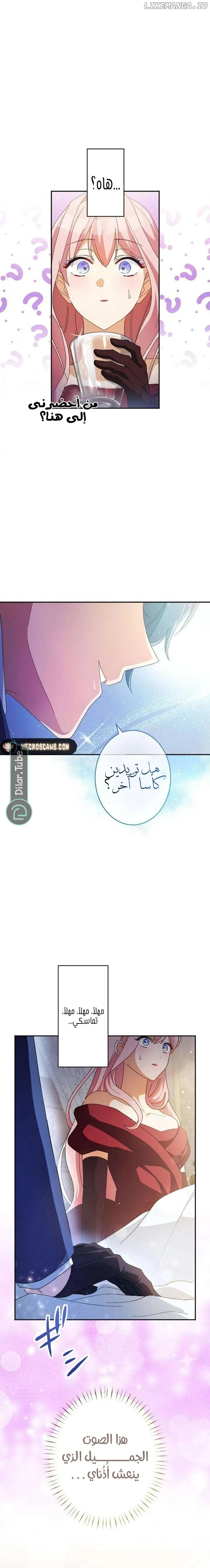 الصفحة 12