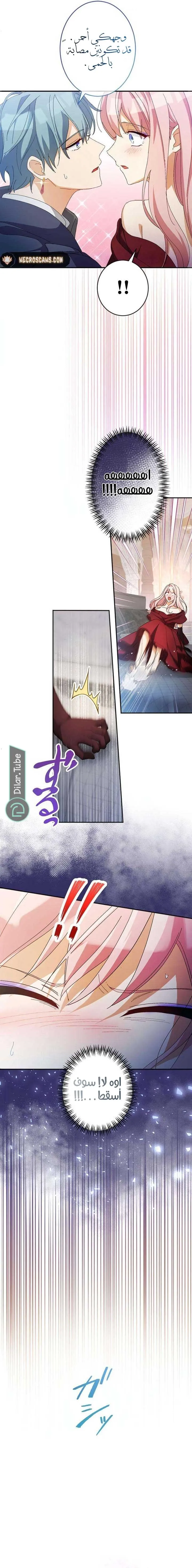 الصفحة 13