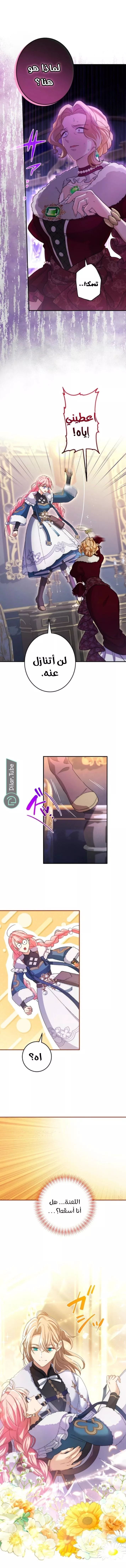 الصفحة 9