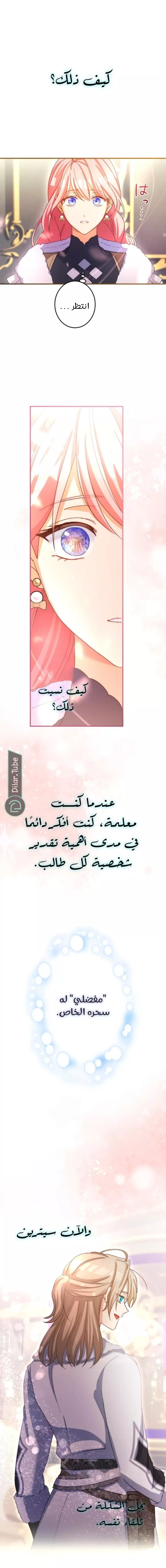 الصفحة 13