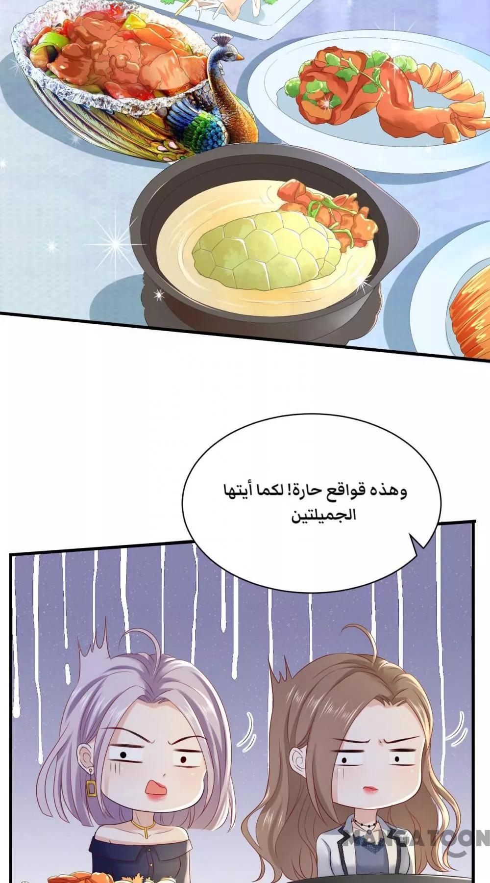 الصفحة 13