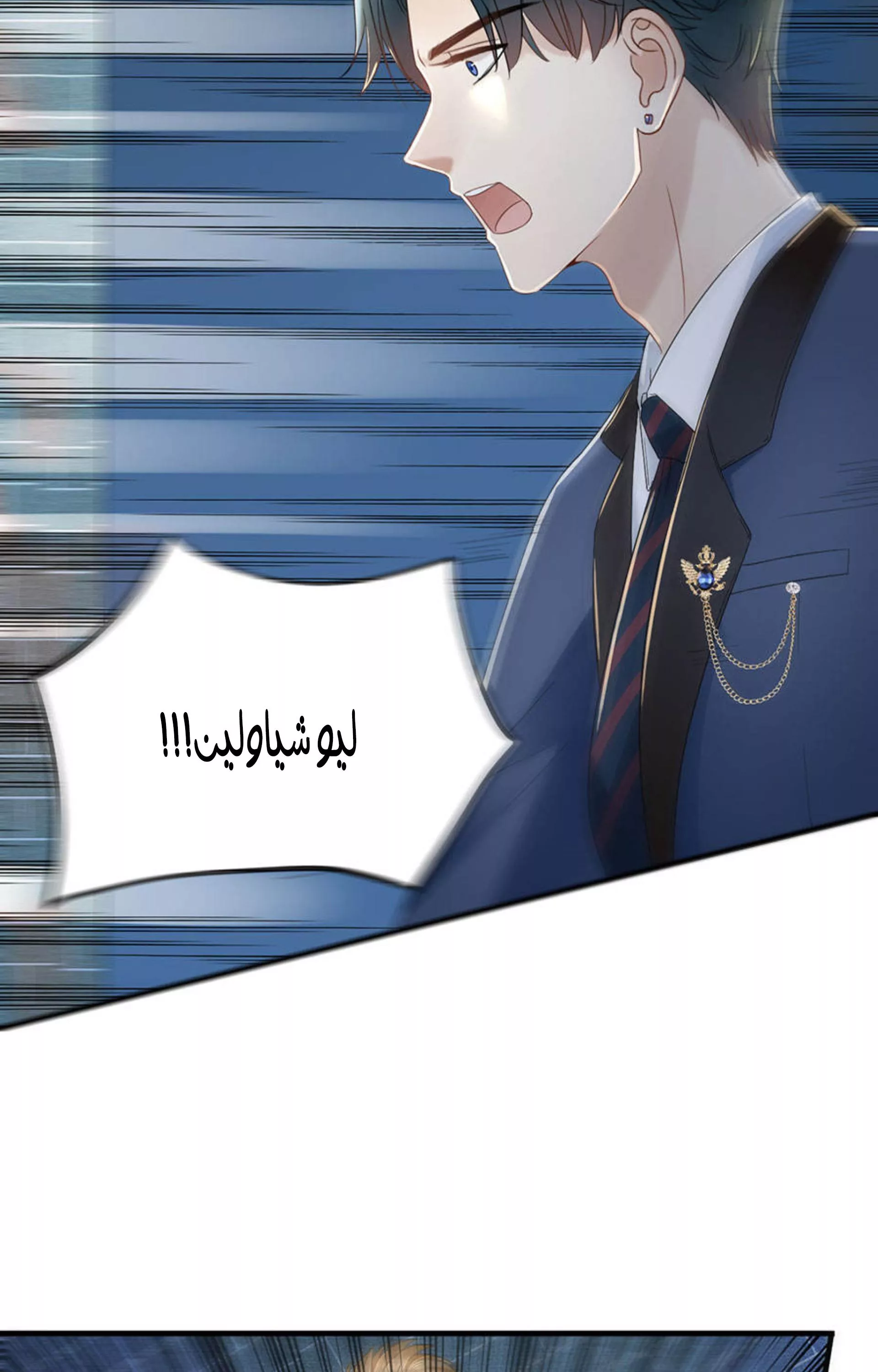 الصفحة 11