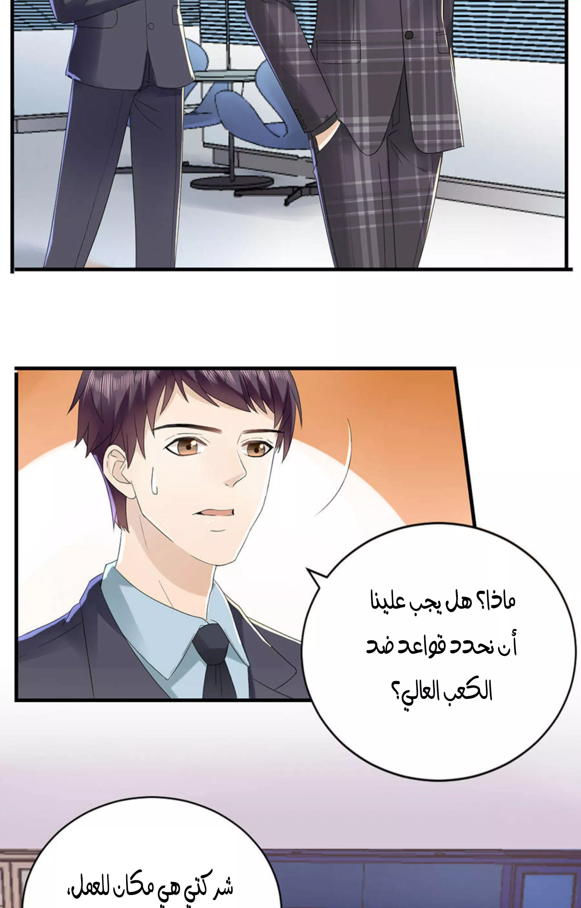 الصفحة 29
