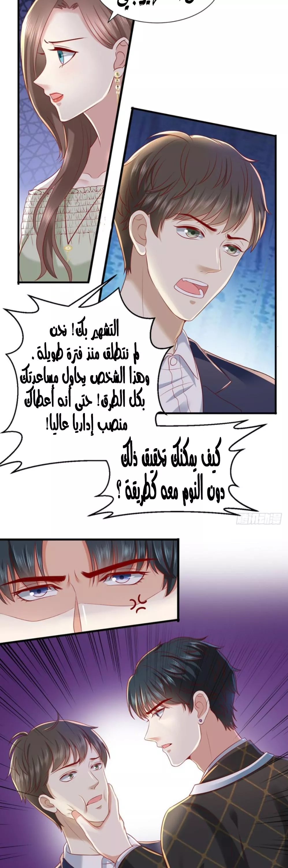 الصفحة 13