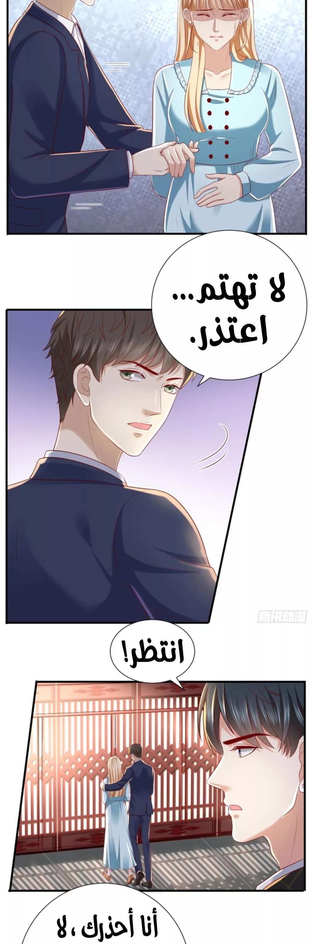 الصفحة 17