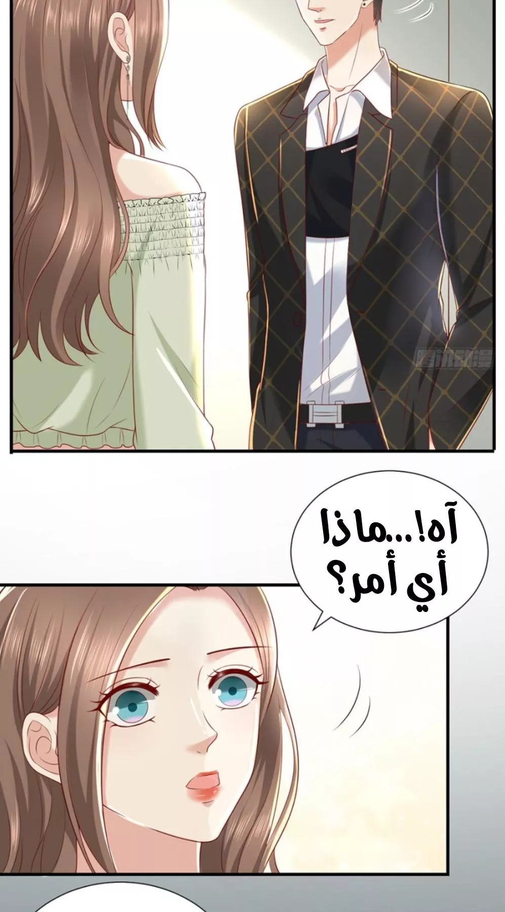 الصفحة 20