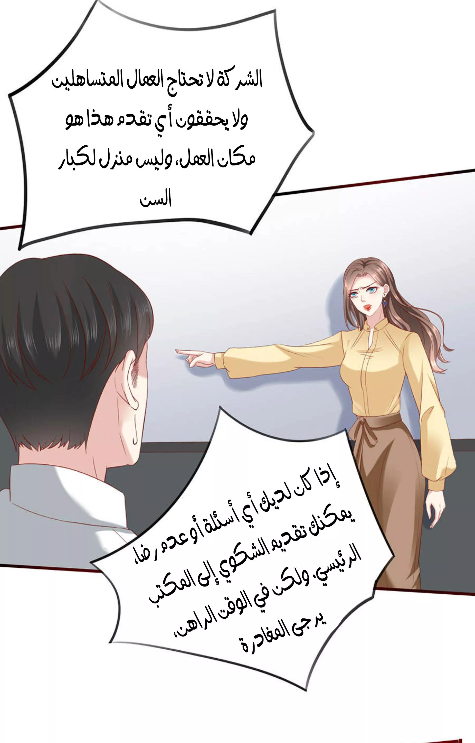الصفحة 17