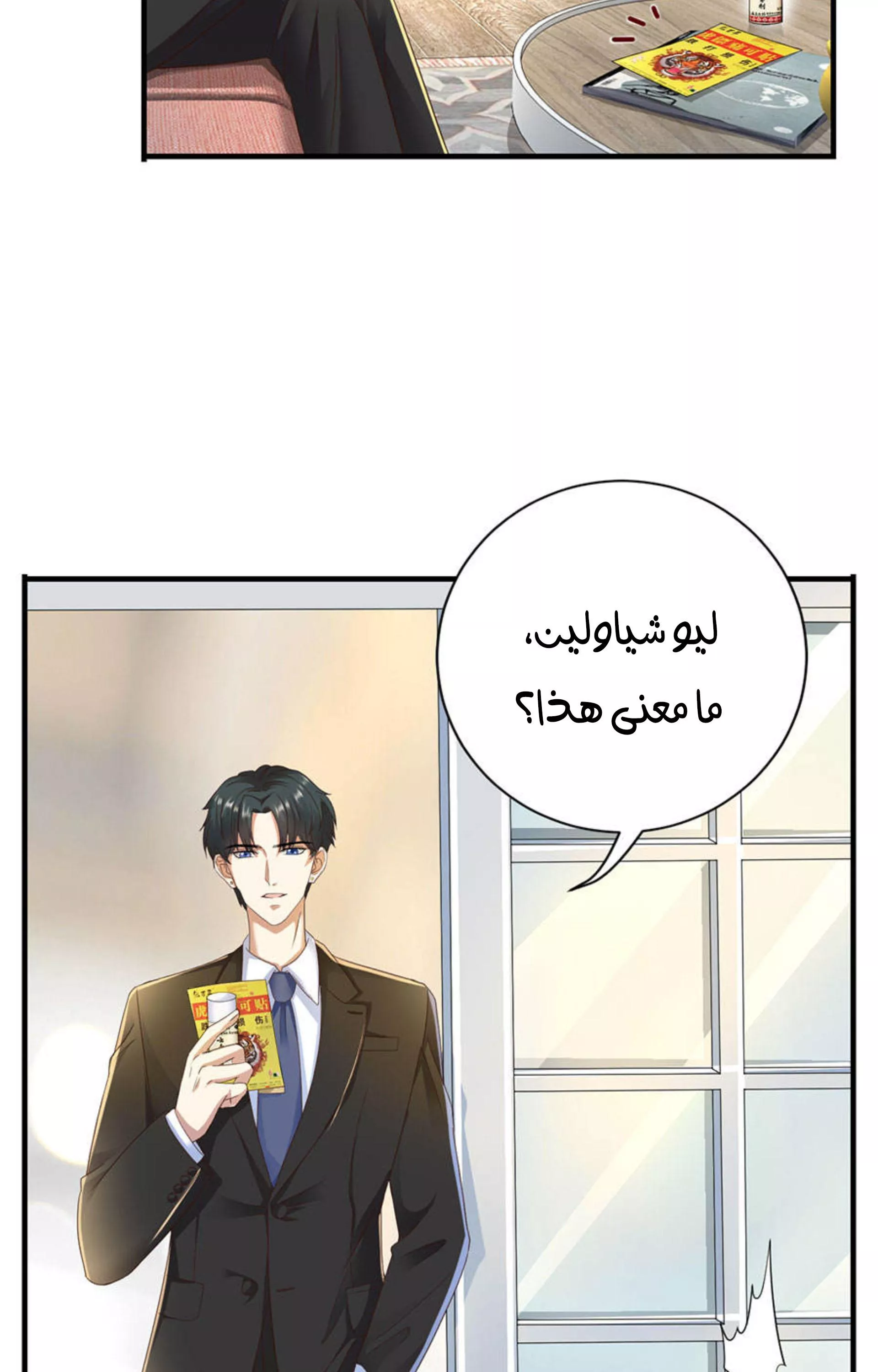 الصفحة 13