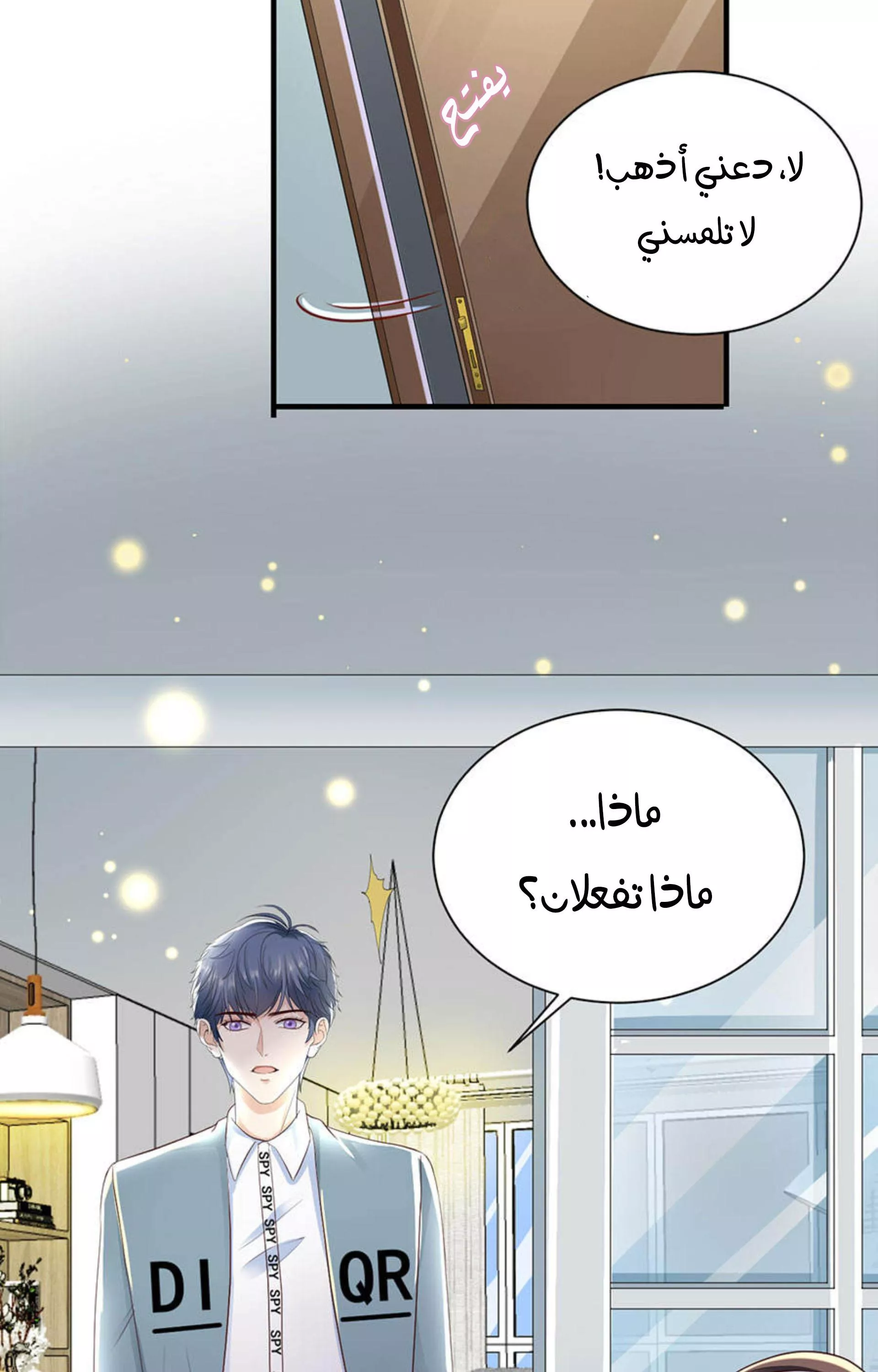 الصفحة 21