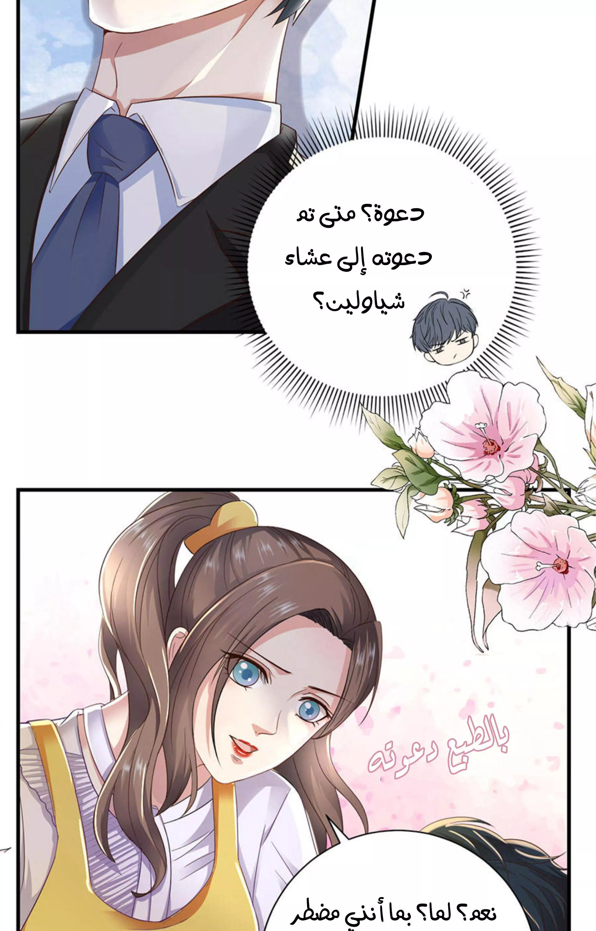 الصفحة 24