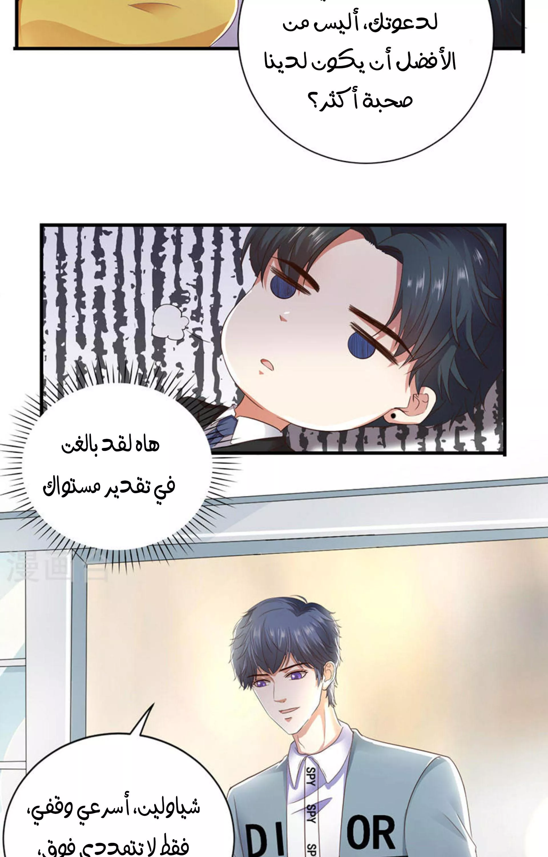 الصفحة 25