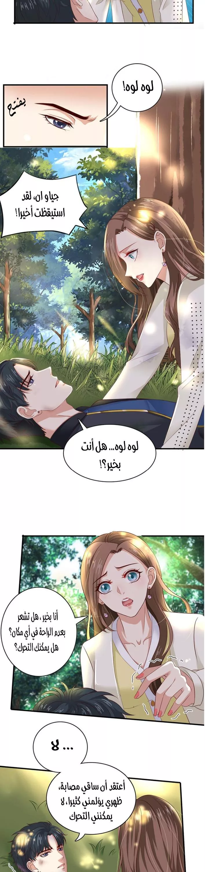 الصفحة 12