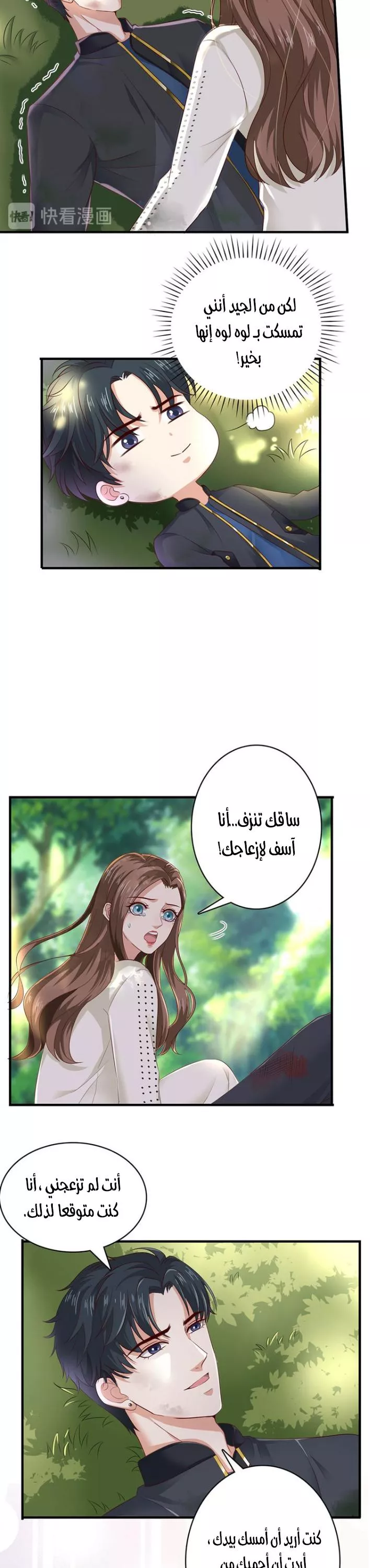 الصفحة 13