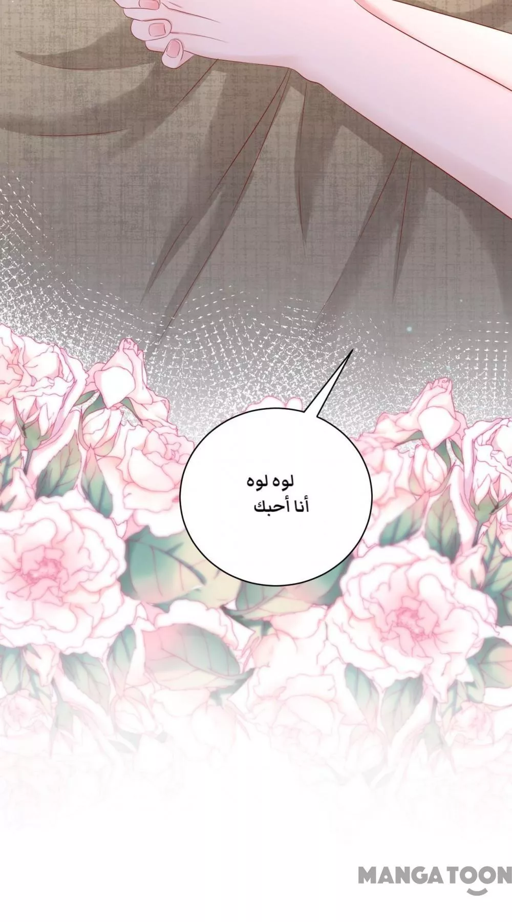 الصفحة 27