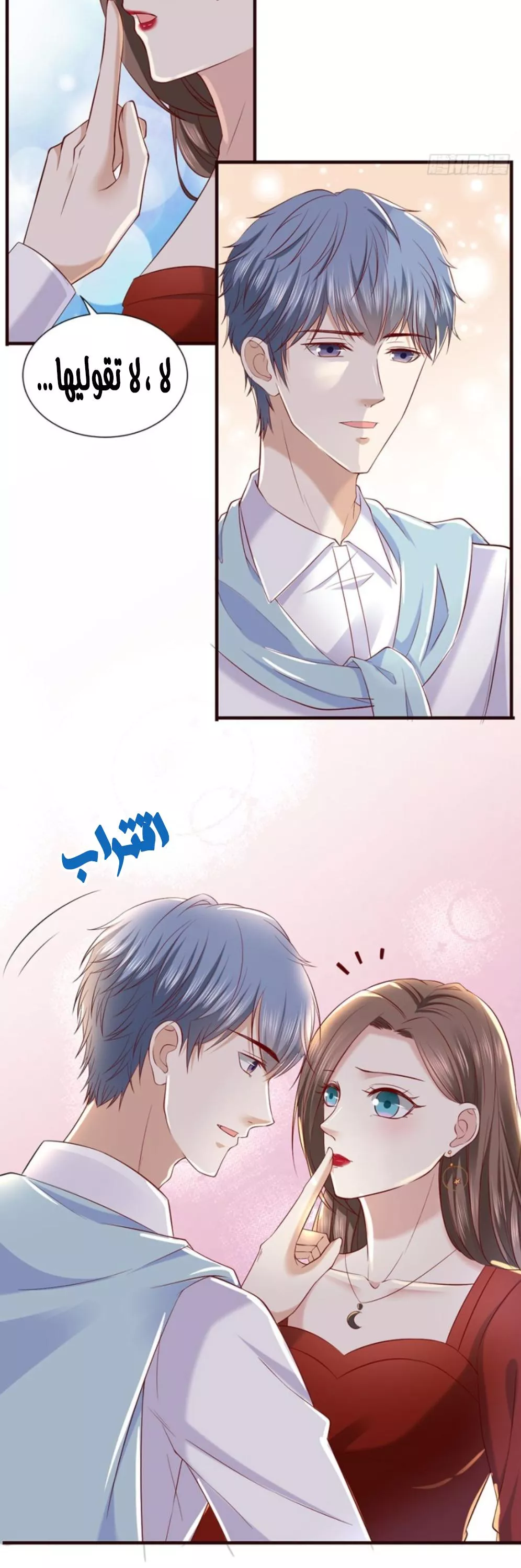 الصفحة 17