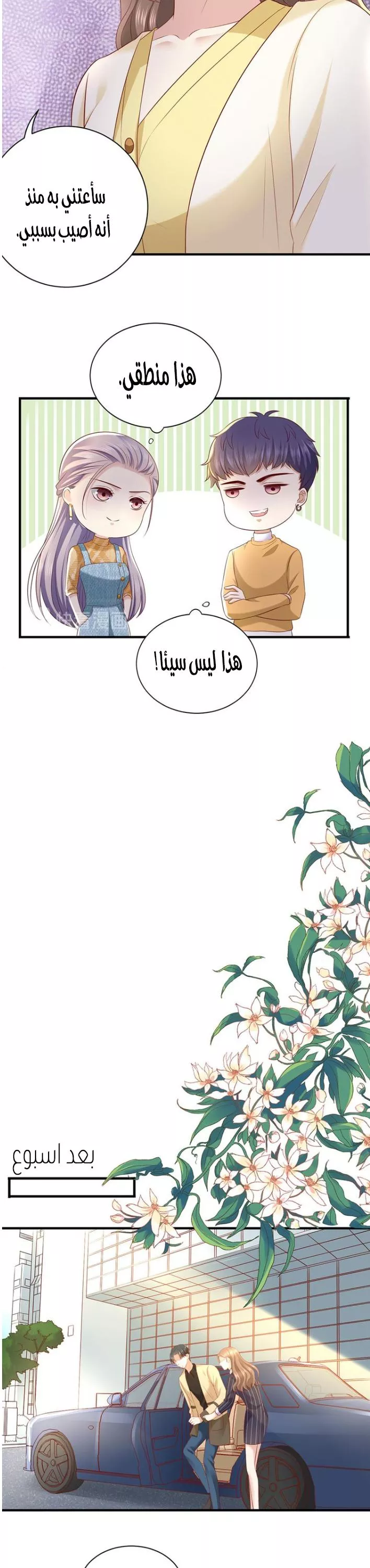 الصفحة 6