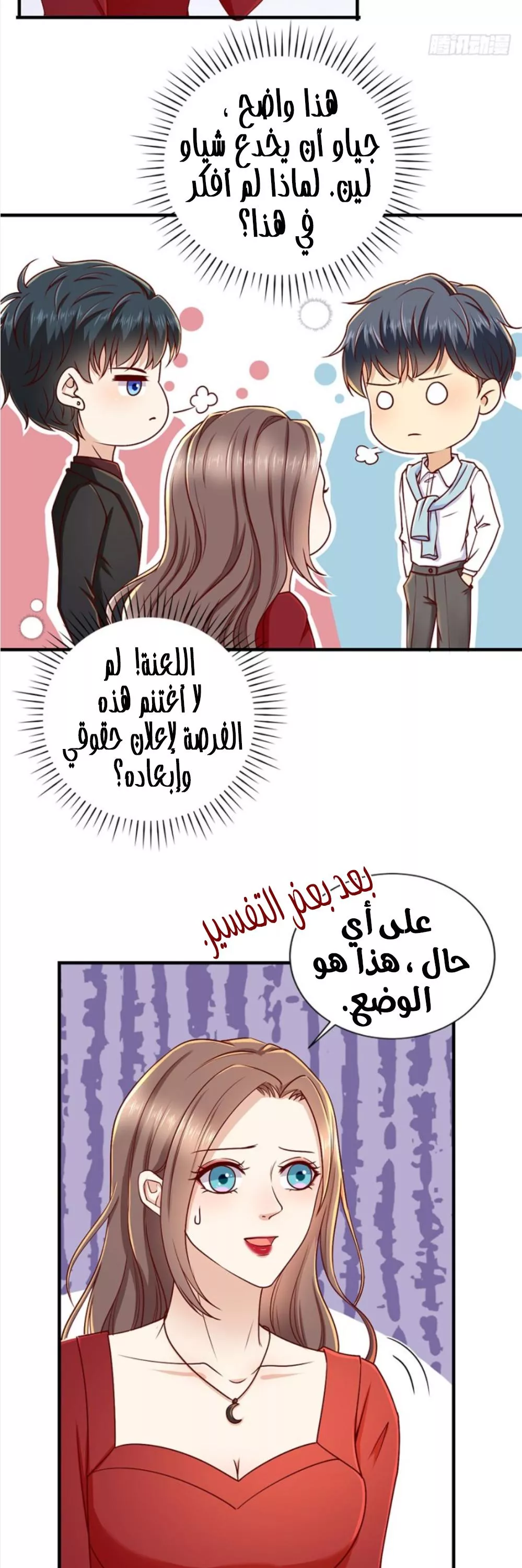 الصفحة 14