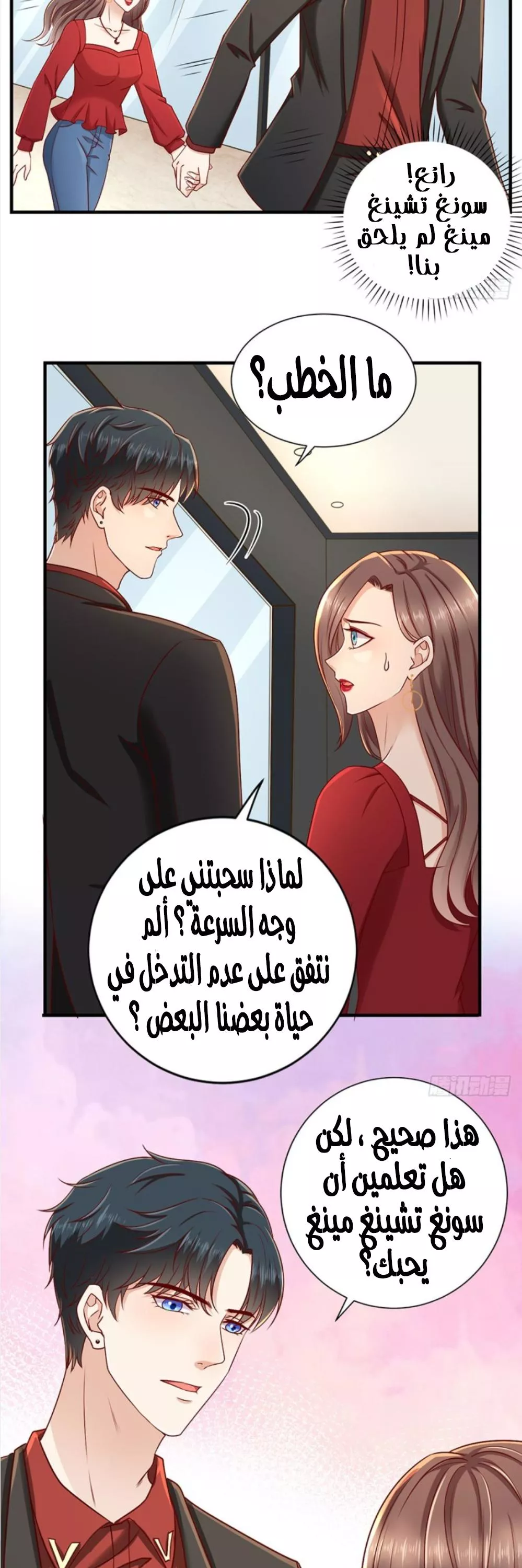 الصفحة 17