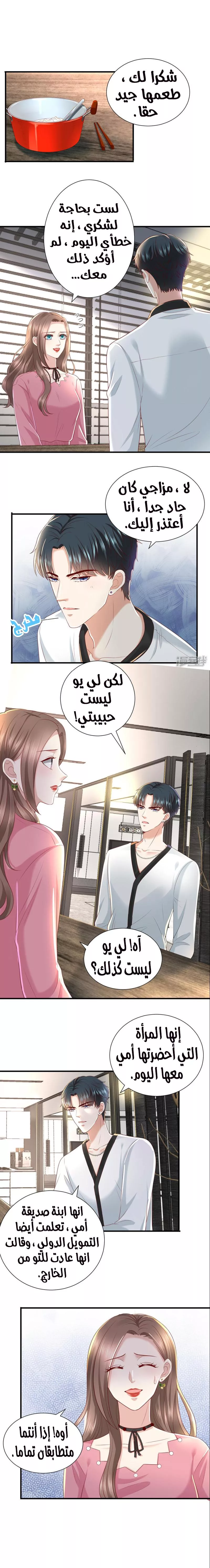 الصفحة 3
