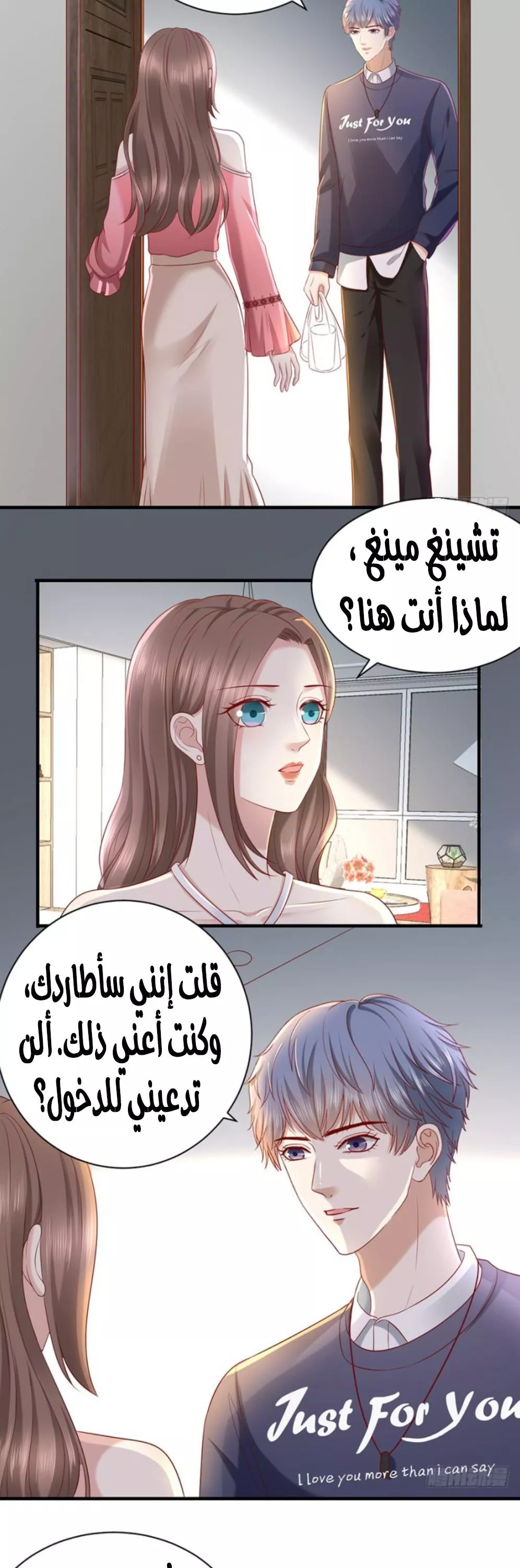 الصفحة 13