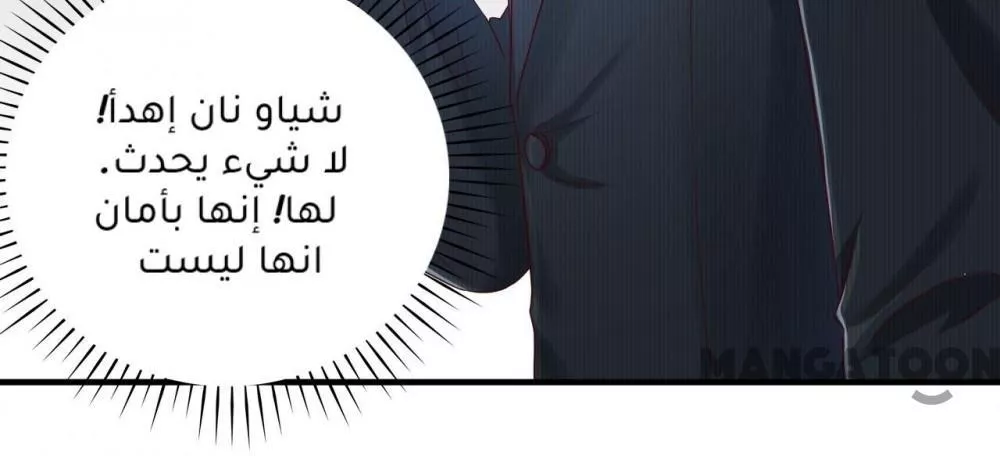 الصفحة 25