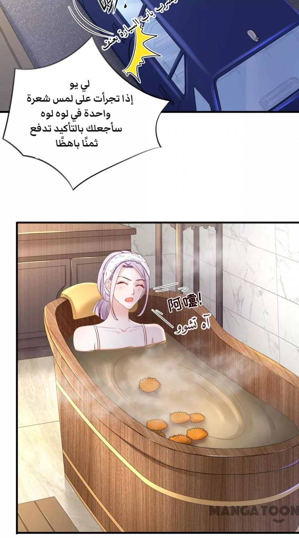 الصفحة 27